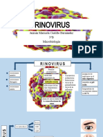Rinovirus