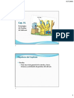 C3. Estrategias de Pruebas