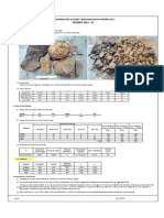 Reporte 2021 - Mineral Iavs 5203 y 5503