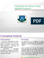 Environmental Degradation and Climate Change