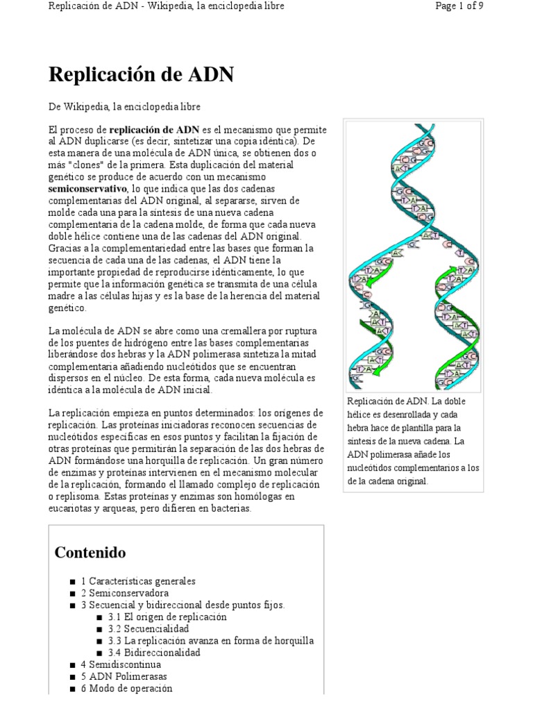 Proceso de Replicación del ADN | PDF | Replicación De Adn | Adn