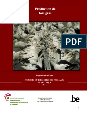 Production de Foie Gras (PDFDrive), PDF, Nutrition
