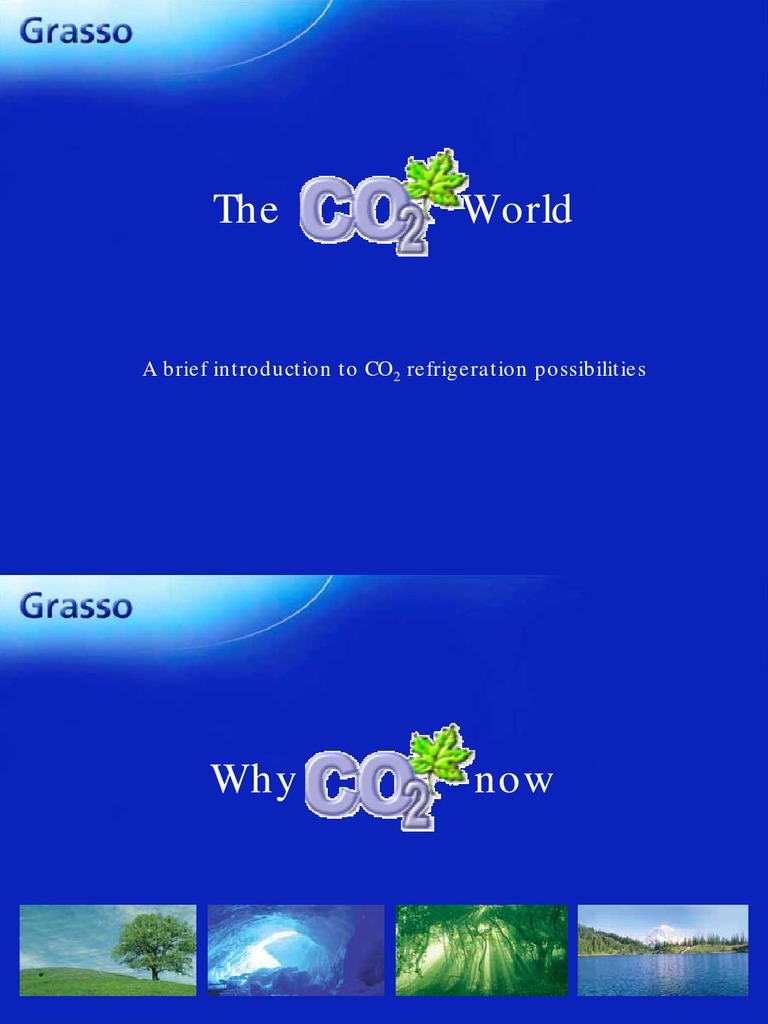 The World A Brief Introduction To CO Refrigeration Possibilities PDF