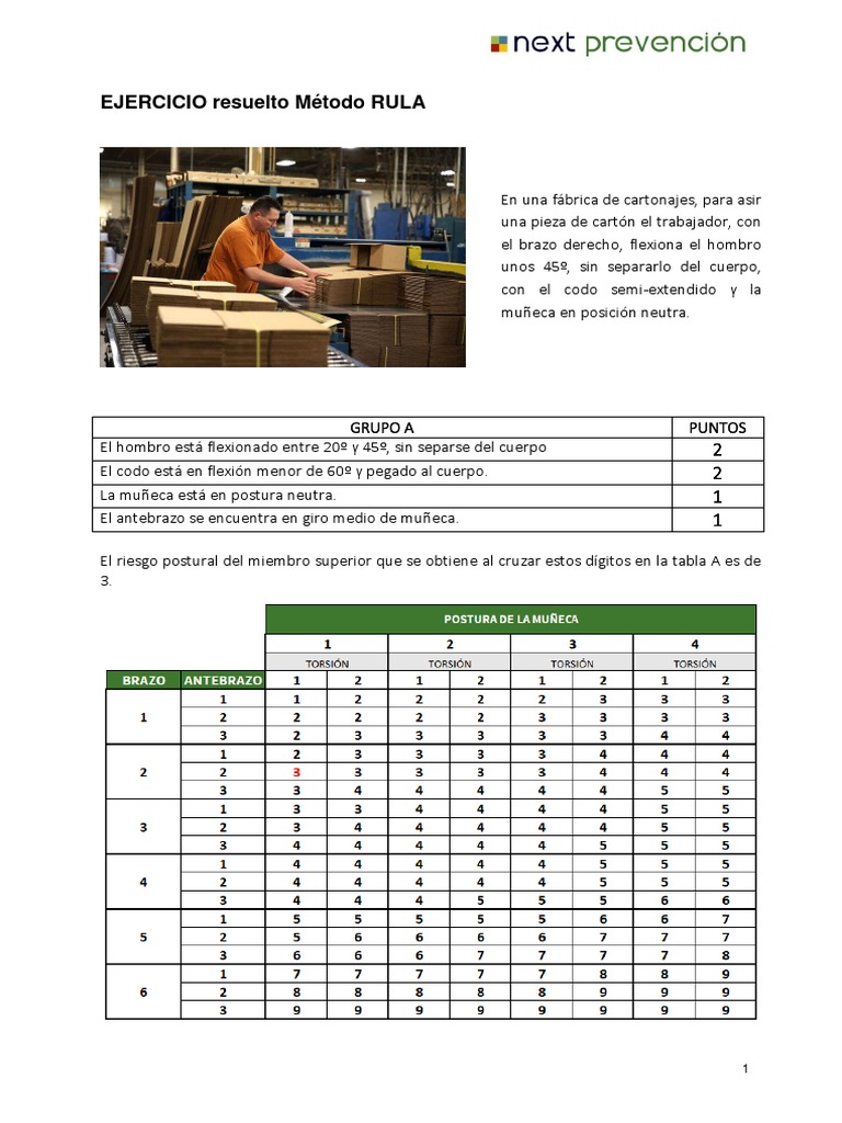 Ejemplo de Ejercicio RULA Resuelto | PDF