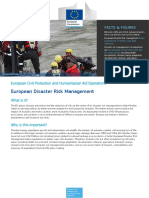 Disaster Risk Management en