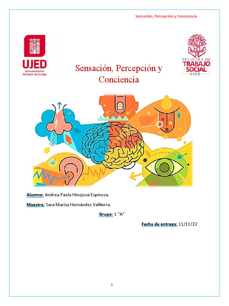 Sensación y Percepción en la Consciencia | PDF | Percepción ...