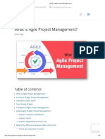 What Is Agile Project Management