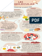 FAlvarado BIOMOLECULAS