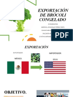 Exportación de brócoli congelado a EEUU
