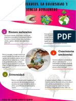 Infografia1 Bienes Naturales, La Diversidad y Conciencia Ambiental
