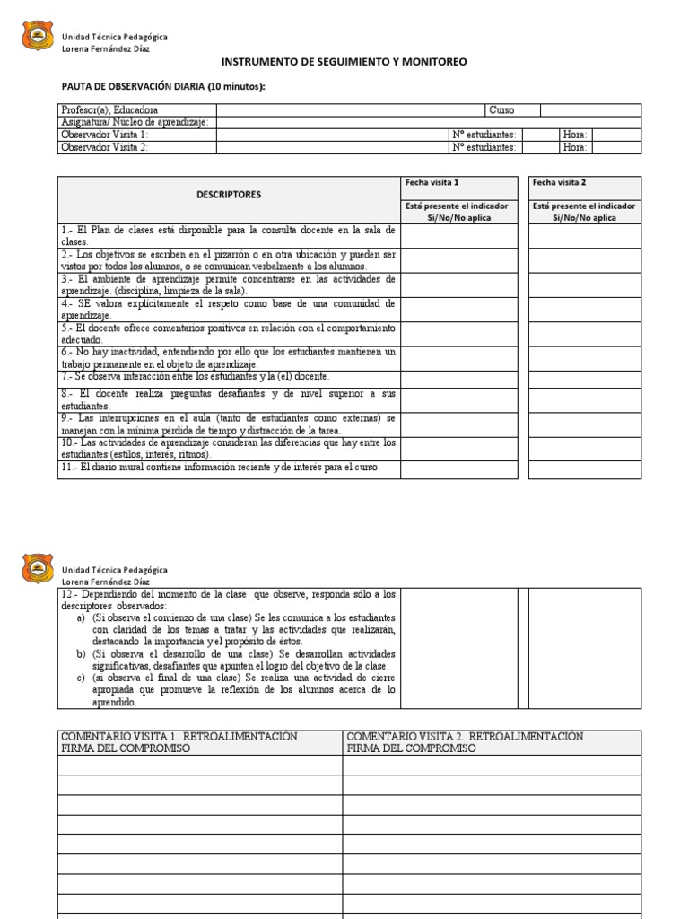 Pauta de Observación 10 Minutos | PDF | Maestros | Aprendizaje