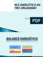 BALANCE ENERGÉTICO