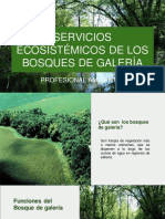 Servicios Del Ecosistema