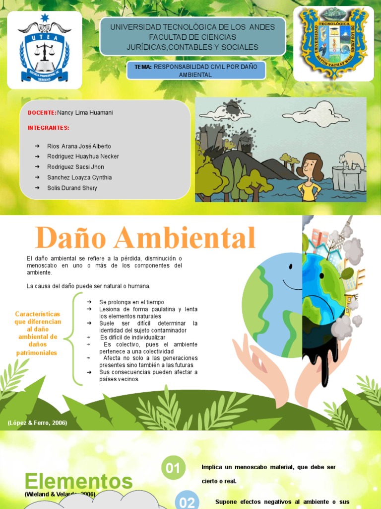 6ta Responsabilidad Civil Por Daño Ambiental | PDF