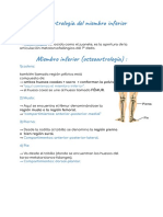 Osteoartrología Del Miembro Inferior