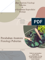 Perubahan Anfis Puber Dan Konsep Kespro