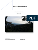 Informe Ambiental Buenos Aires