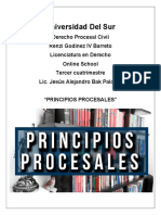 2da Actividad - Principios Procesales