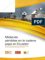 CIP Midiendo Perdidas en La Cadena Papa Ecuador (1)
