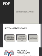 sistema circulatório