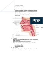 ANATOMI ORGAN RESPIRASI
