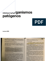 Lectura de MO Patógenos