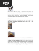 Download Ciri-Ciri Khusus Makhluk Hidup by jendul93 SN61118093 doc pdf