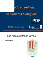 Model Cuant Circuitos