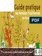 Guide Pratique Remedes Traditionnels Plantes Medicinales Caribeennes