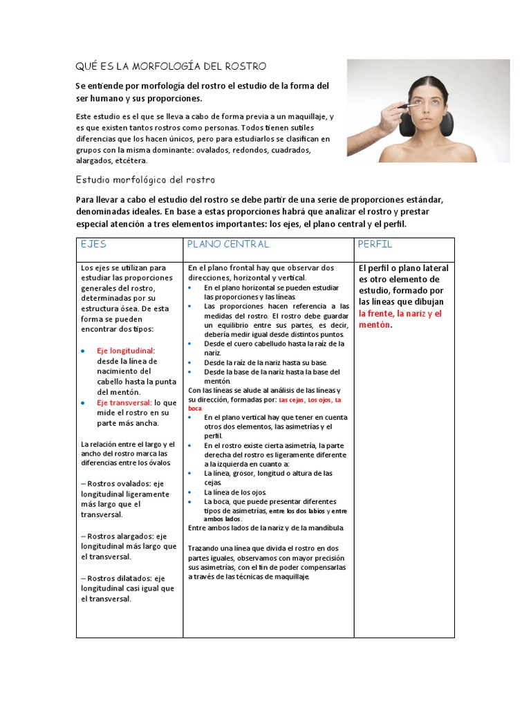 Qué Es La Morfología Del Rostro | PDF | Color | Productos cosméticos