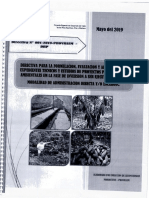 Directiva #01 - FORMULACION, EVALUACION Y APROBACION DE EXPEDIENTES PDF