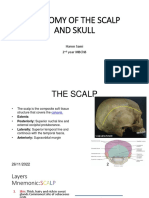 Anatomy of The Scalp and Skull by Sami Haron