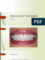 Incisors