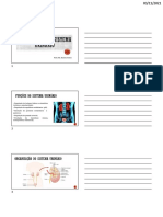 Processos de filtração, reabsorção e secreção renal