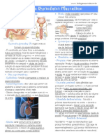 Sistema Reprodutor Masculino