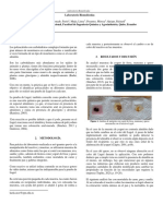 Informe - Laboratorio Biomoléculas