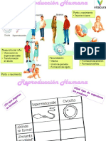 3 7 Agosto 2m Biologia Gametos