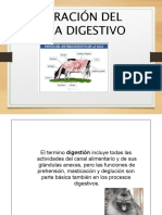 5 Semiologia Digestiv