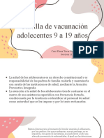 Cartilla de Vacunación Explicación Adolescentes