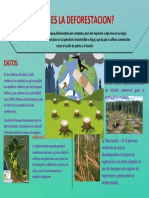 ¿Que Es La Deforestacion?: Datos