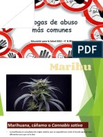 Drogas de Abuso Más Comunes. Marihuana