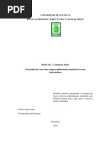 Estudo de Caso_Pleno Sol