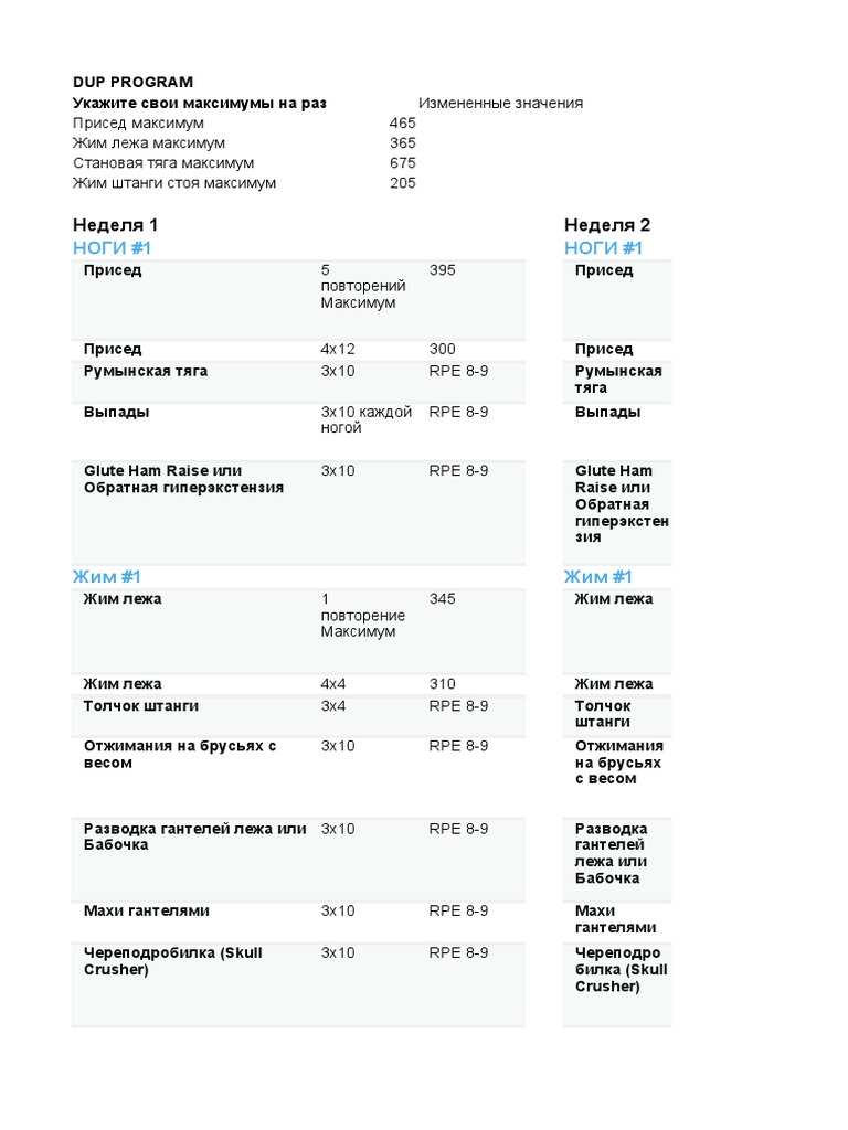 David Laid DUP Program | PDF