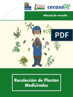 R. de Plantas M.