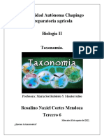 Qué Es La Taxonomía