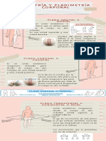 Planos anatómicos del cuerpo: sagital, coronal y transversal