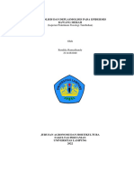 KELOMPOK 3 - Rendika Ramadhandy - 2114161040 - Plasmolisis Dan Deplasmolisis