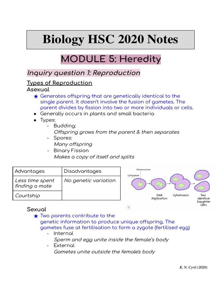 HSC Biology Notes | PDF | Menstrual Cycle | Dominance (Genetics)