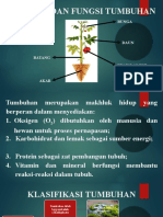 Struktur Dan Fungsi Tumbuhan Alifah Isti'Anah