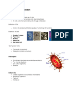 Cell Structure Function